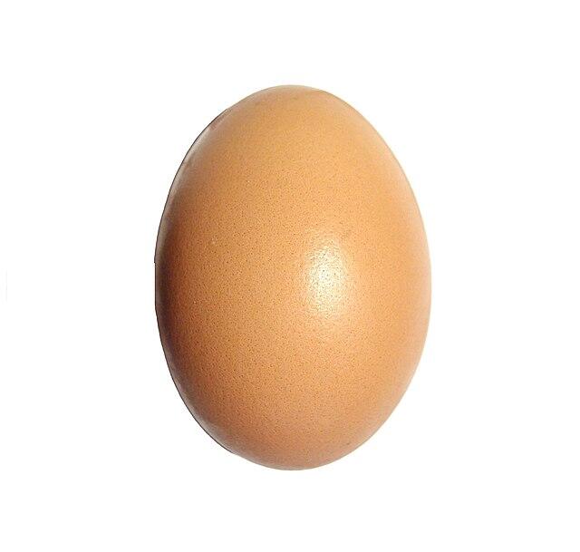 Egg