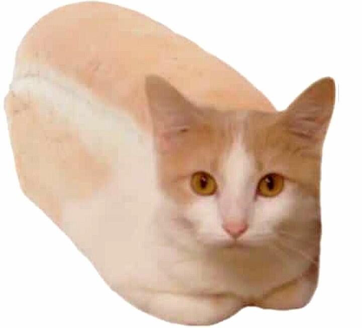 Хлебарсик