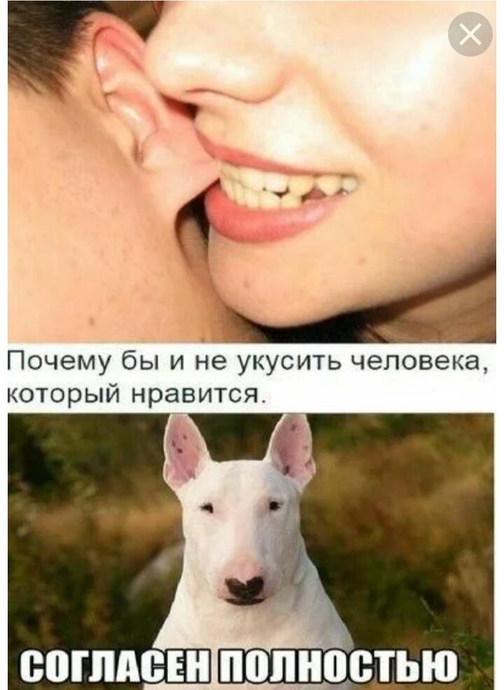 Кусь
