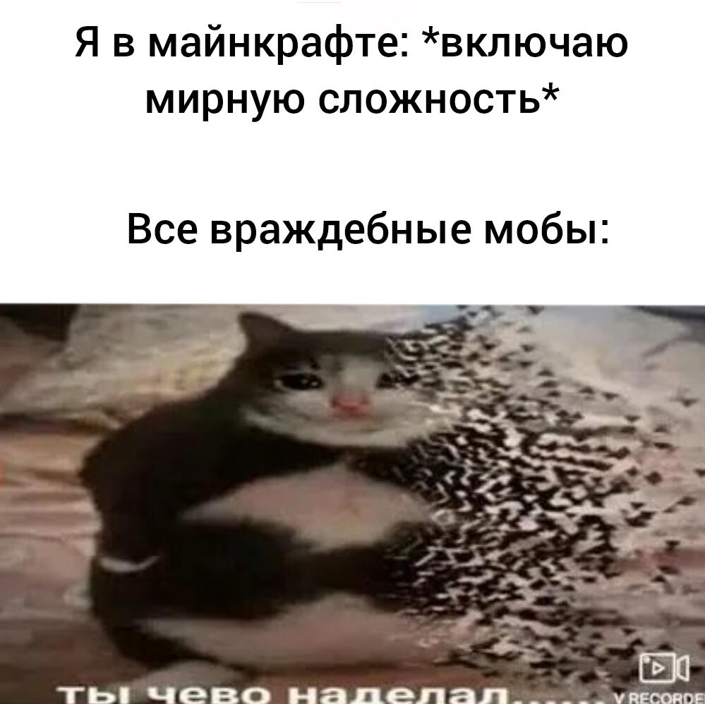 Мем от Лысый Курва Возрождение✅