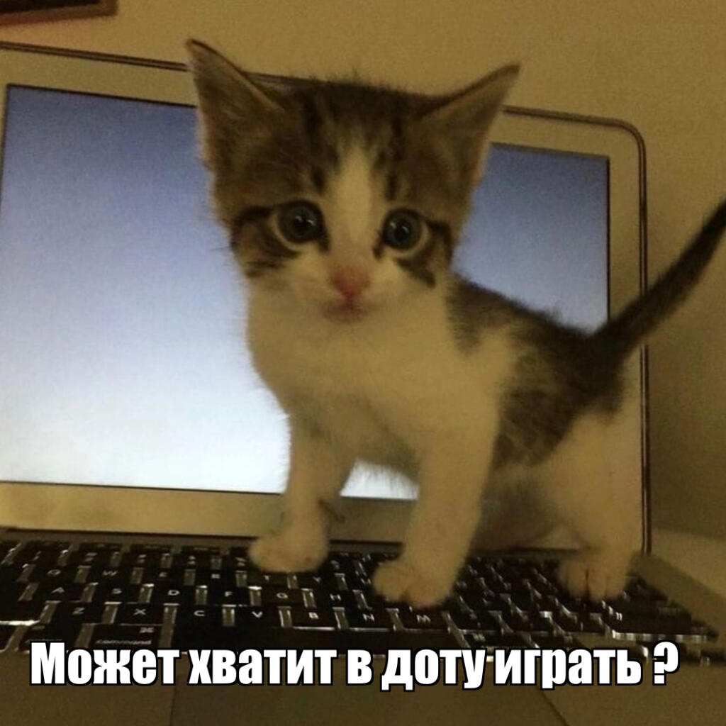 Котя