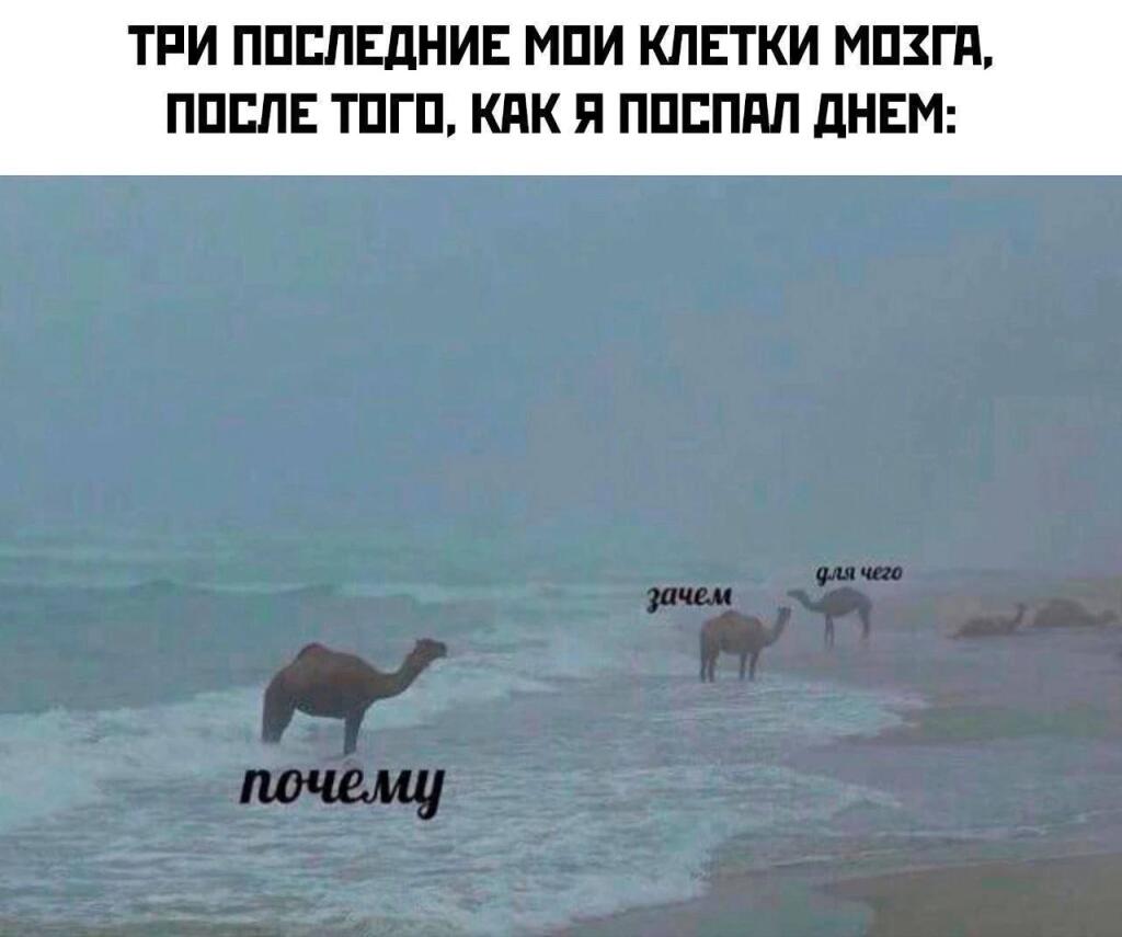 Почемуууу ?