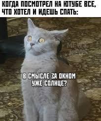 Мем от z cjnhe ct,z bp buhs [NOT PLM]