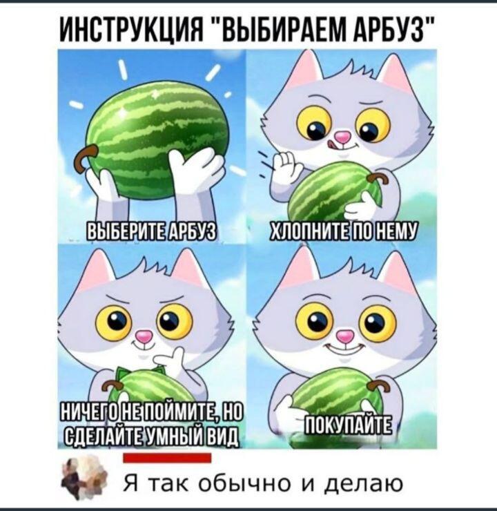 Знаю конец лета,но арбузы никто не отменял!