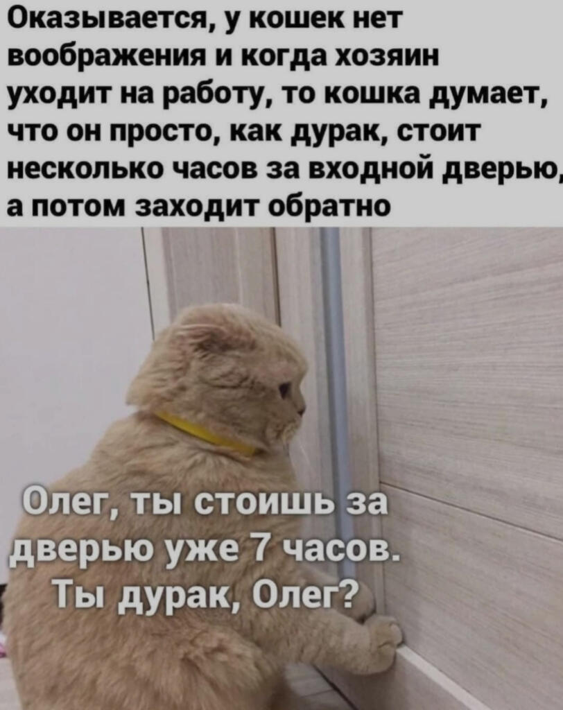 Просто мем