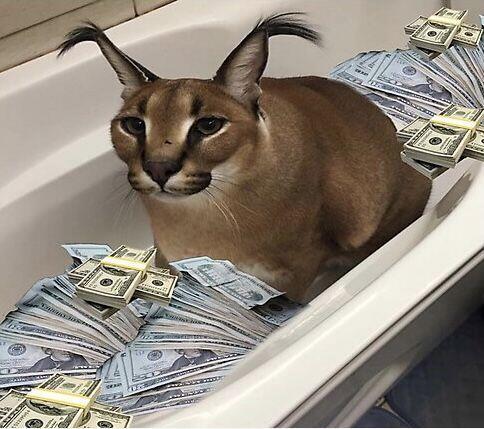 я когда бабушка дала денег