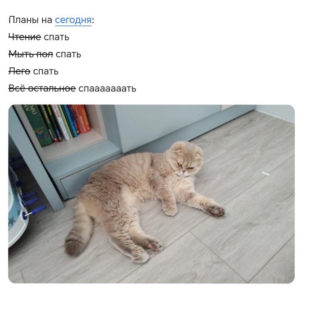 Планы на всегда