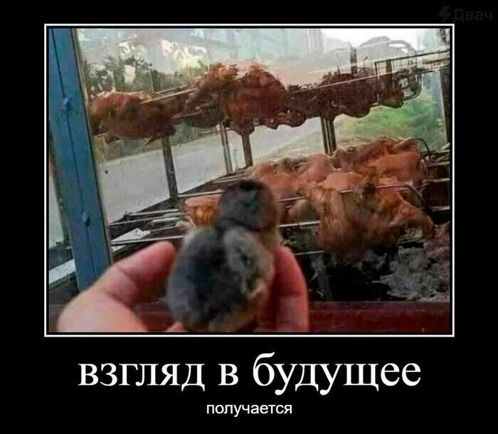 Мем без подписи