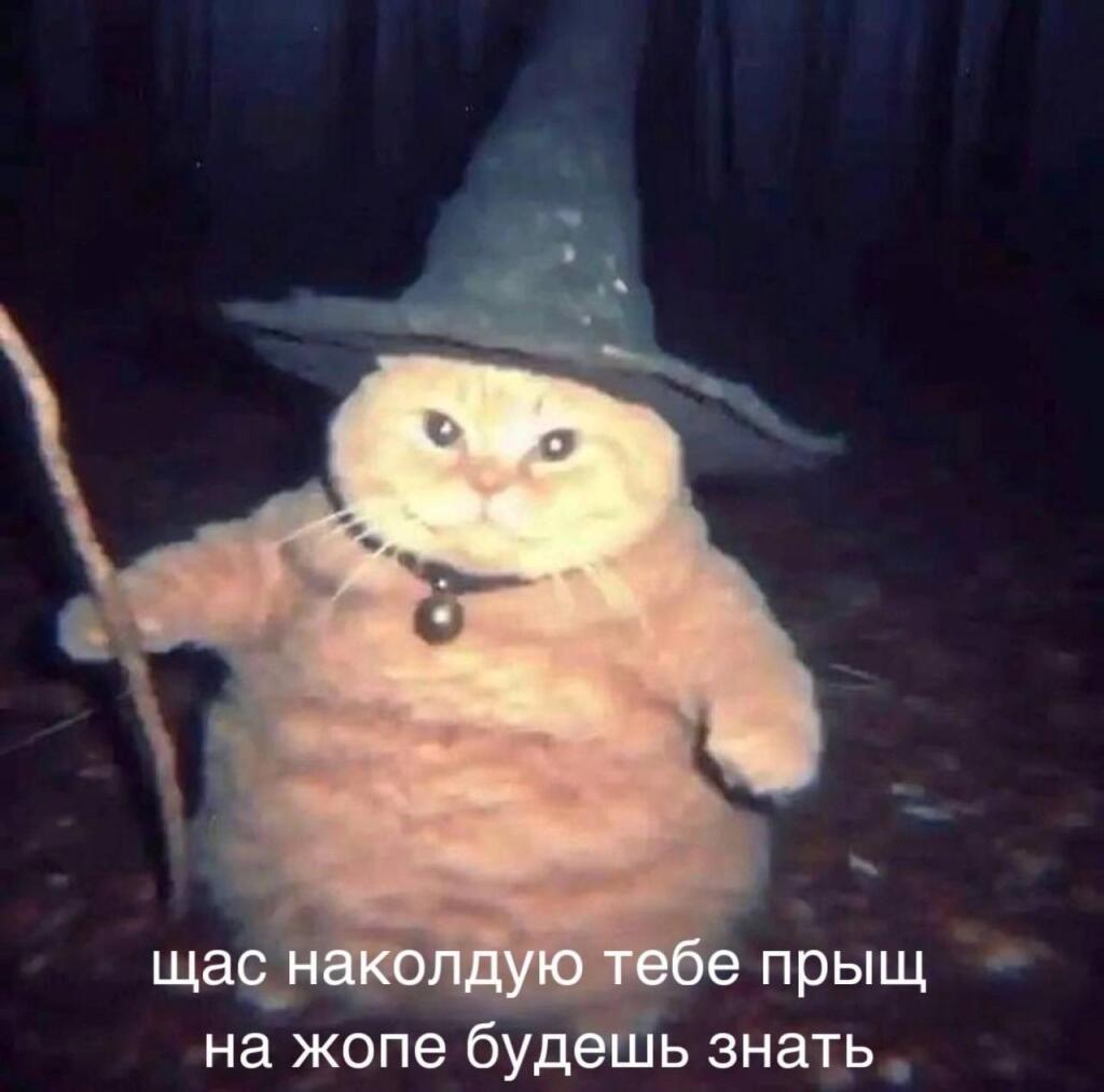 Мем от St_Egor