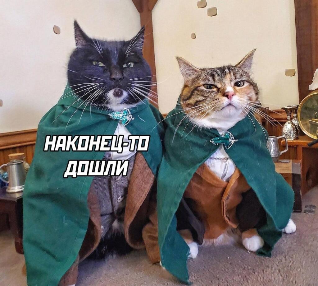 Властелин лотка