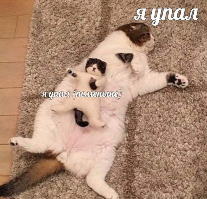 Мем без подписи