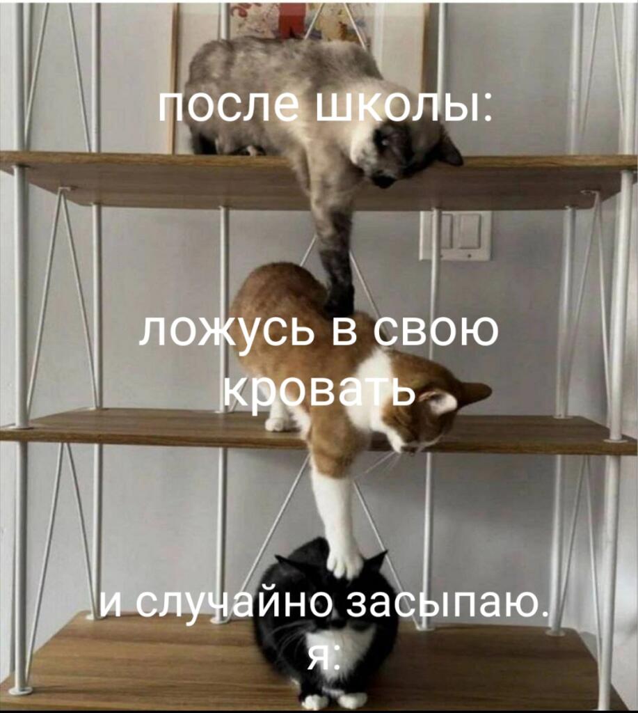 Мем от King artur