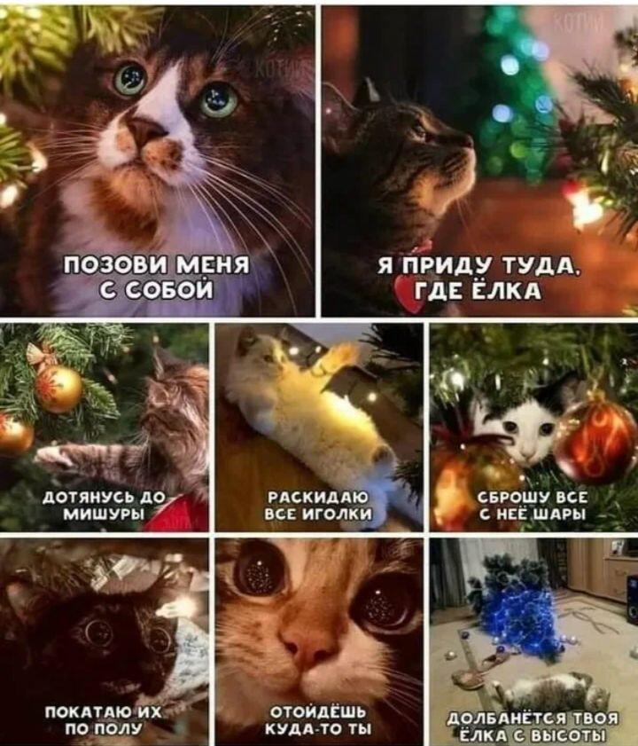 Мем от Srego