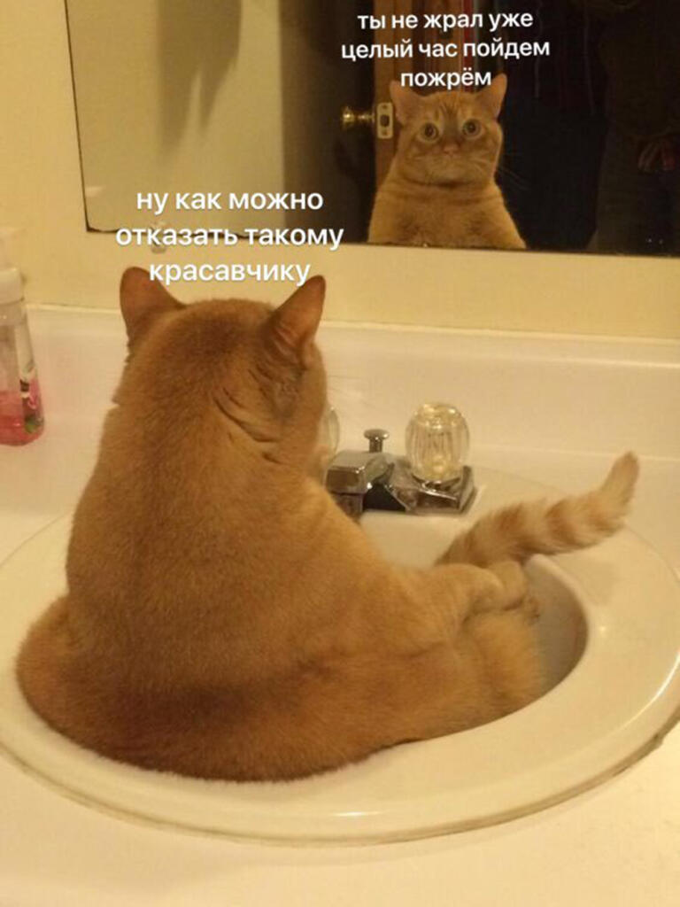 Я каждый божий день:
