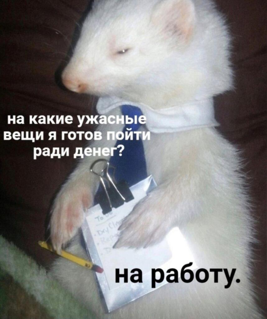 Мем без подписи