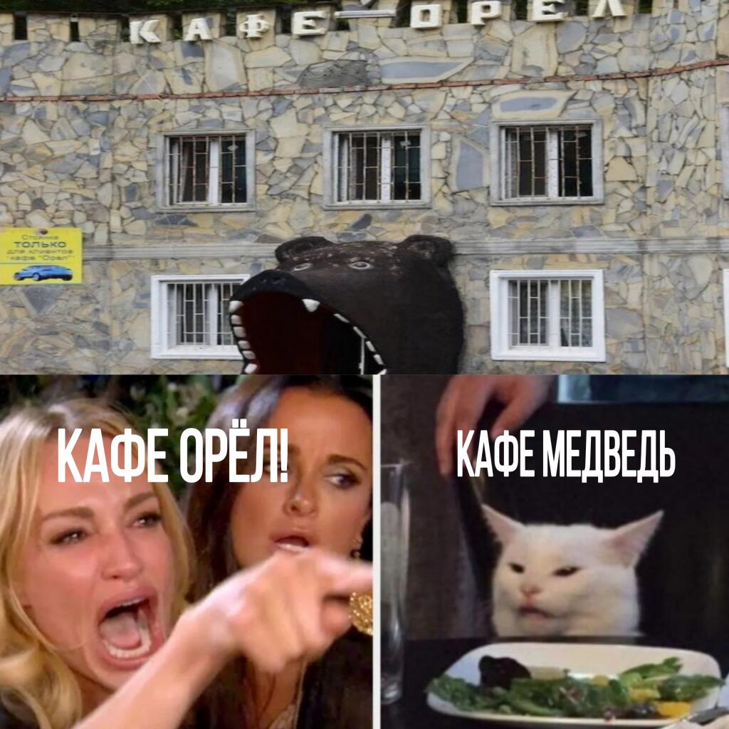 Орёл или медведь?