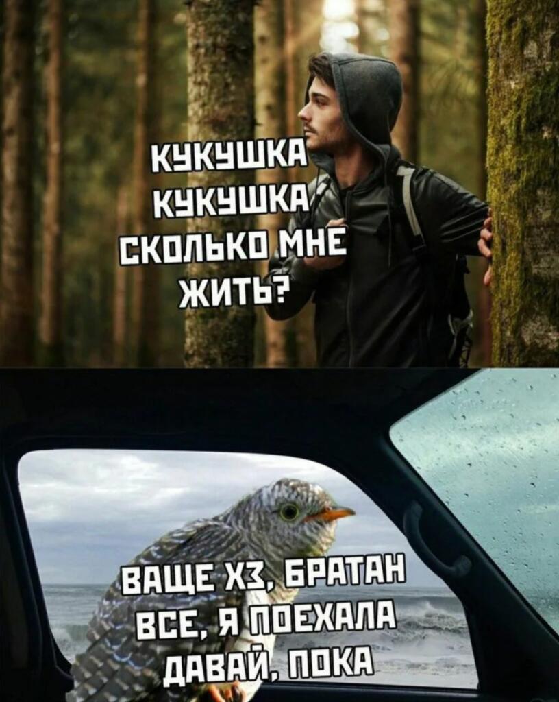 Мем