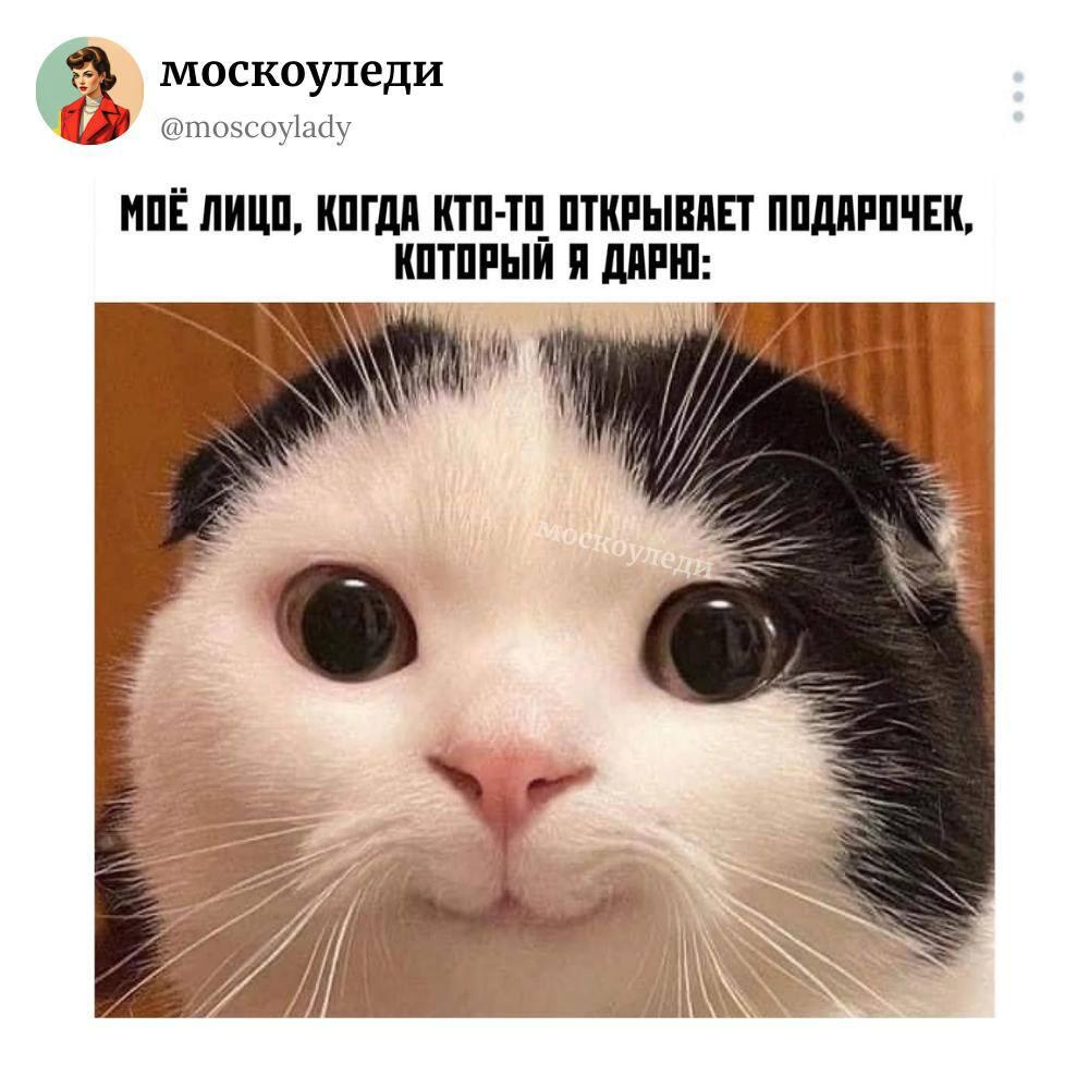 Мем без подписи