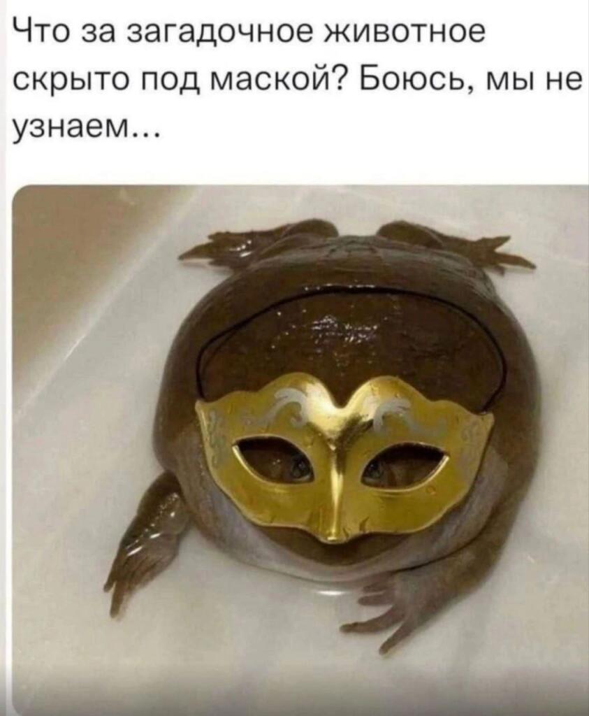 да енто же среда!