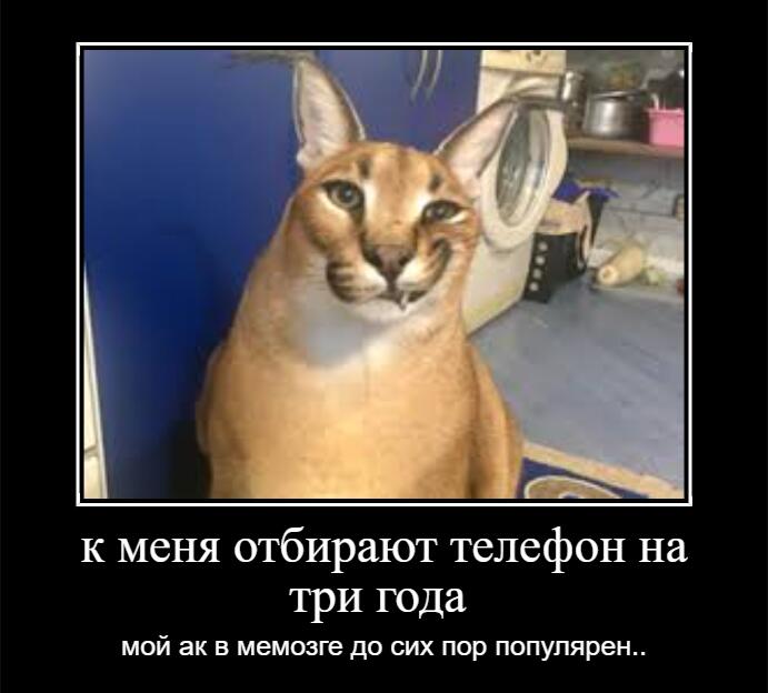если что это рофлс