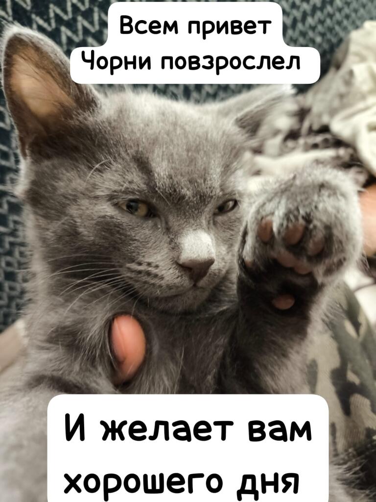 ❇️