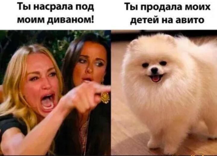 Я оставлю это без комментариев