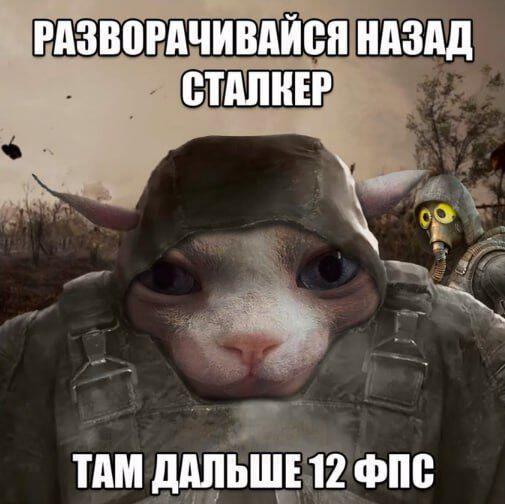 Мем без подписи