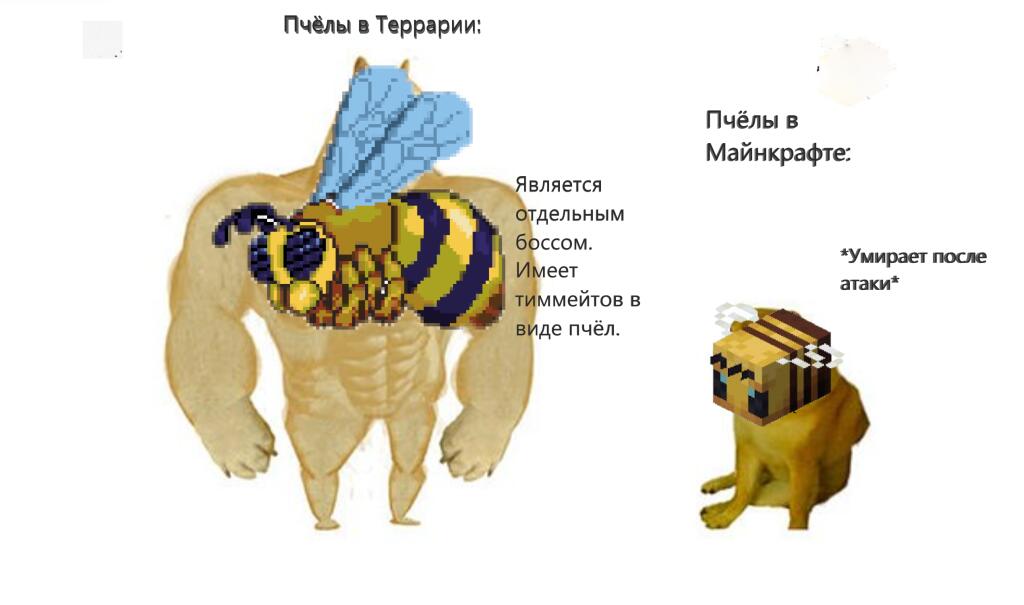 Мем без подписи