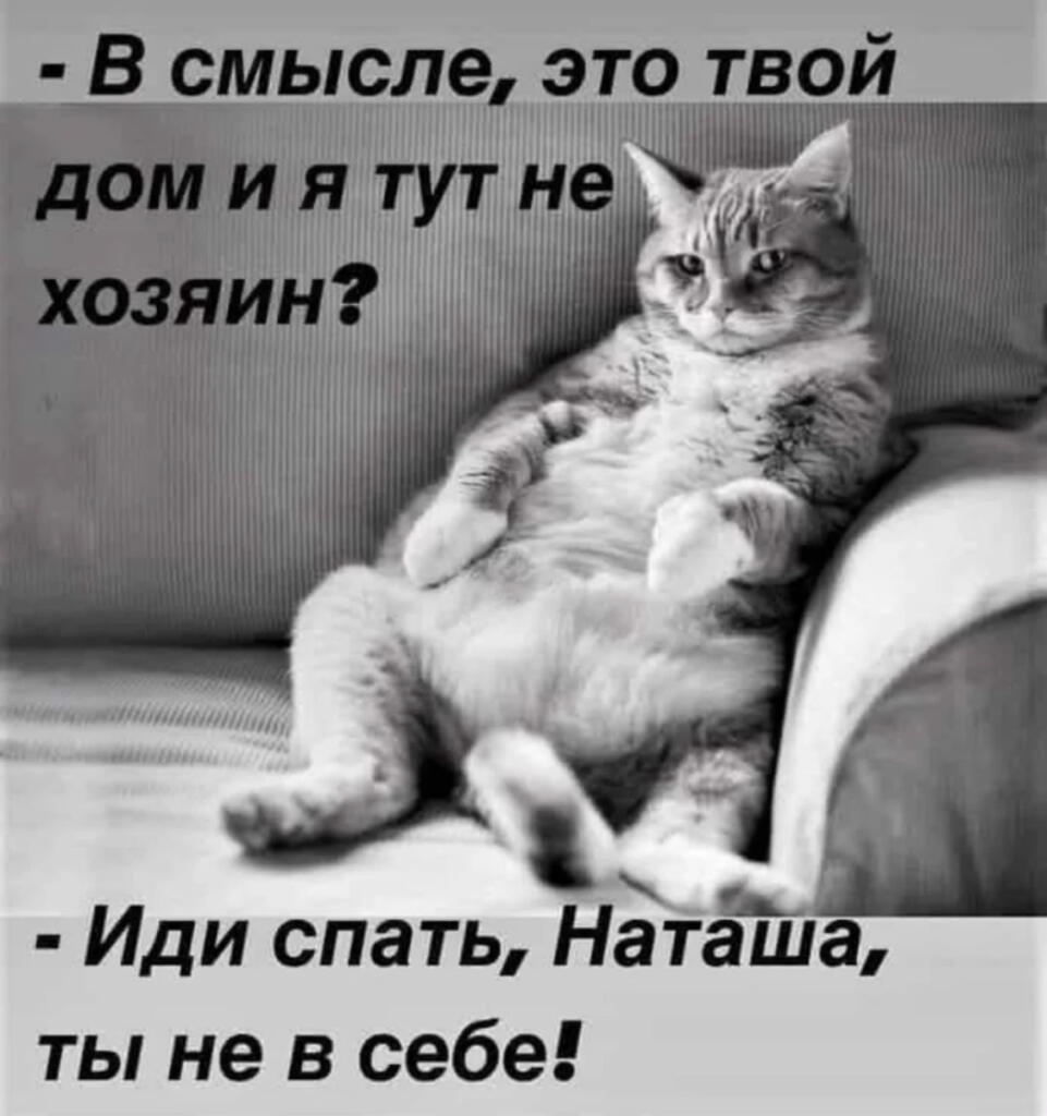 Мем без подписи