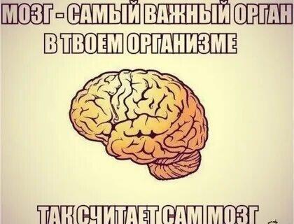 И об этом тоже подумал мозг