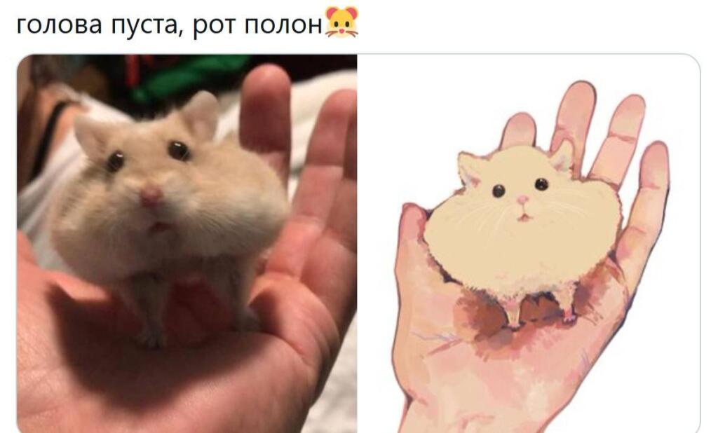 Мем без подписи