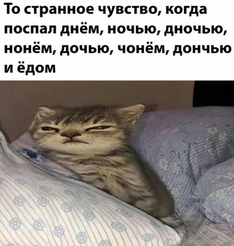 Сборник мемаф :)