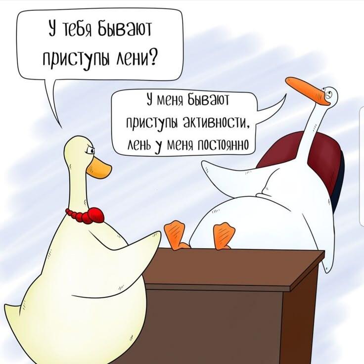 у кого жиза