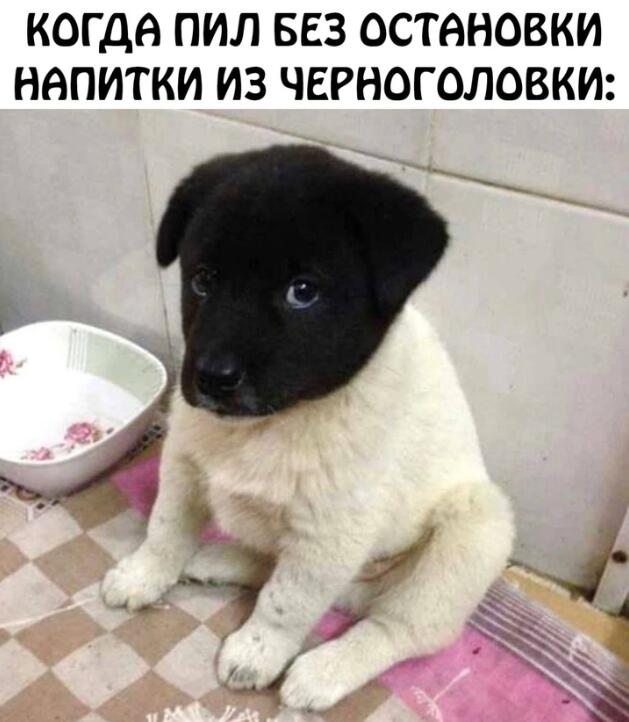 Мем без подписи