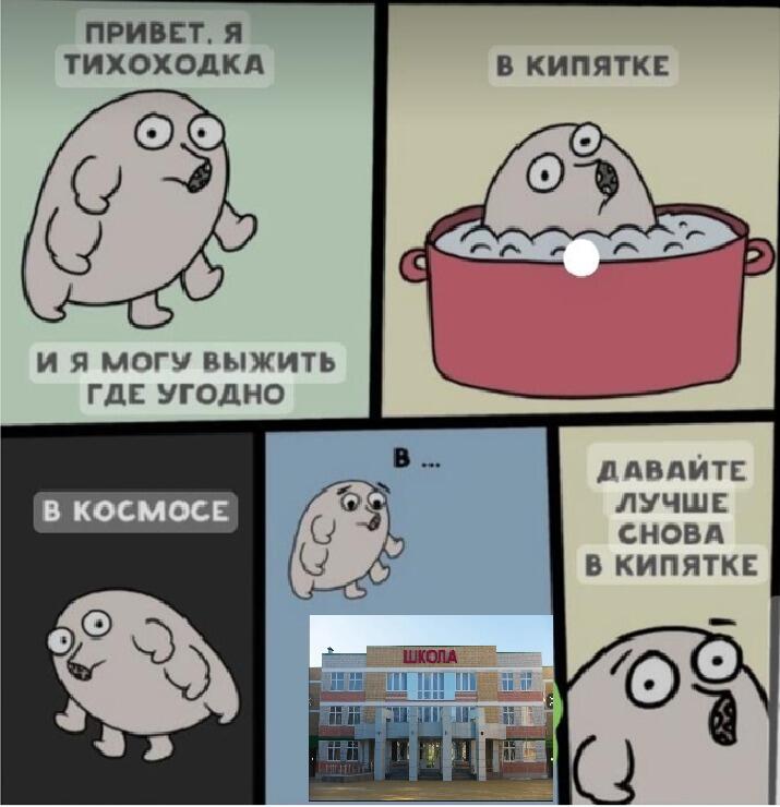Мем без подписи