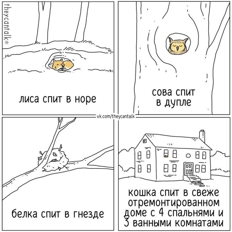 Мем без подписи