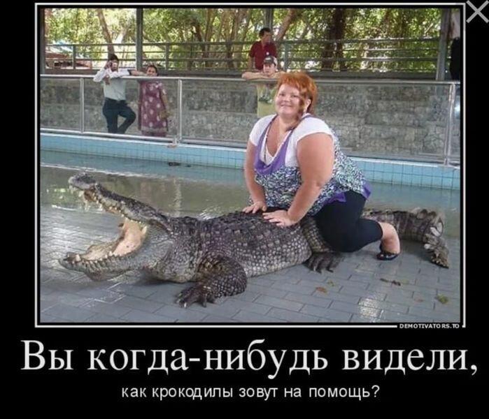 Бедный крокодильчик 😢