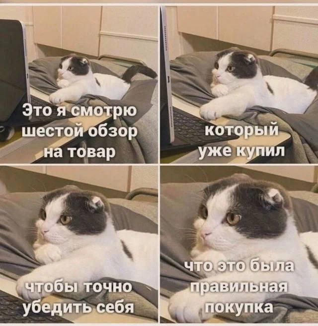 Мем от misfortune official