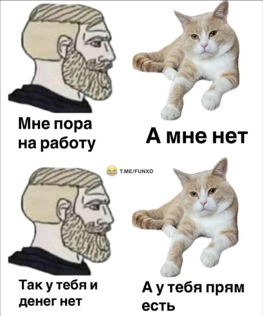 не знаю что писать