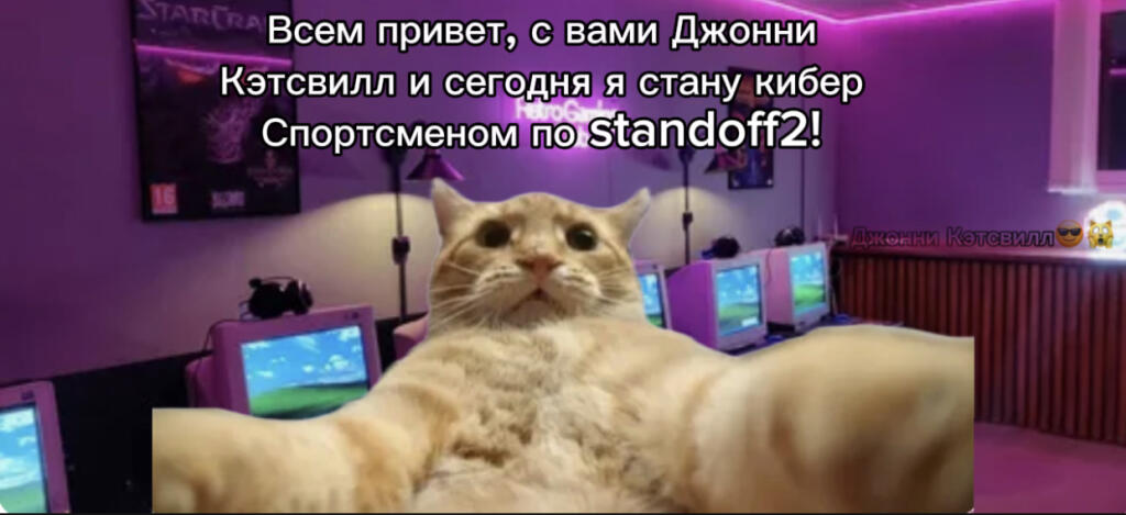 Джонни Кэтсвилл