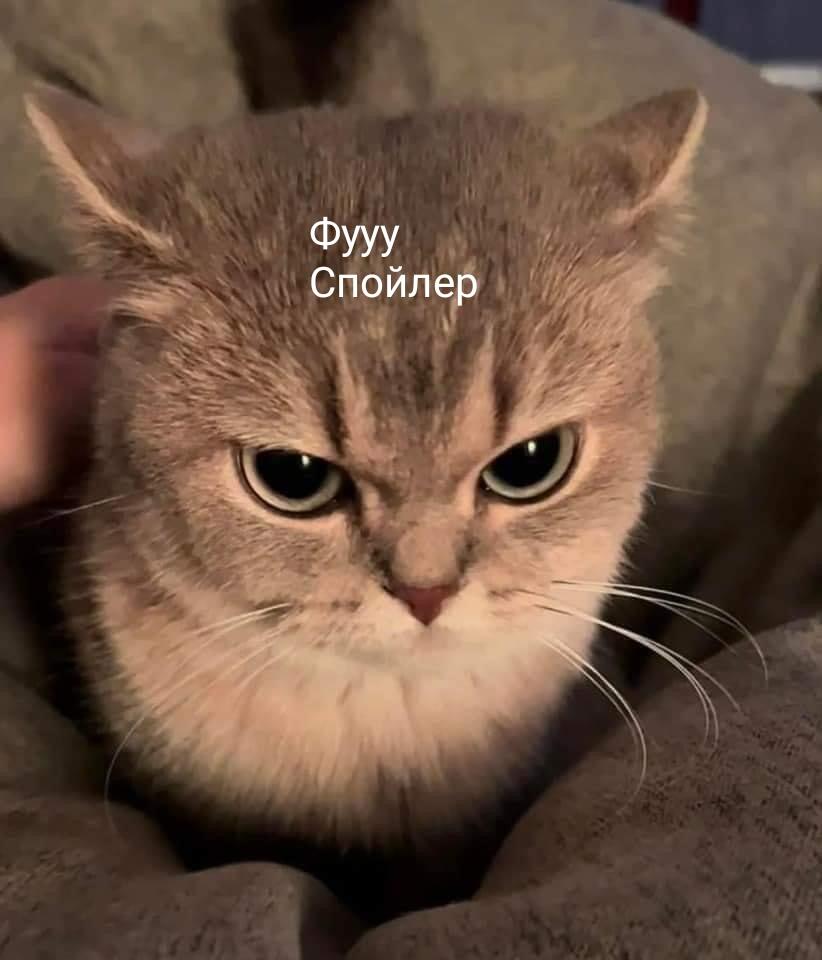 Спойлеры