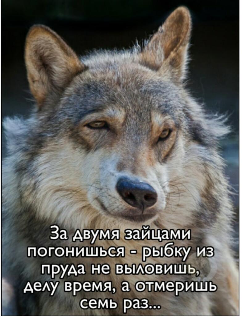 Цитаты по пятницам Ч. 2