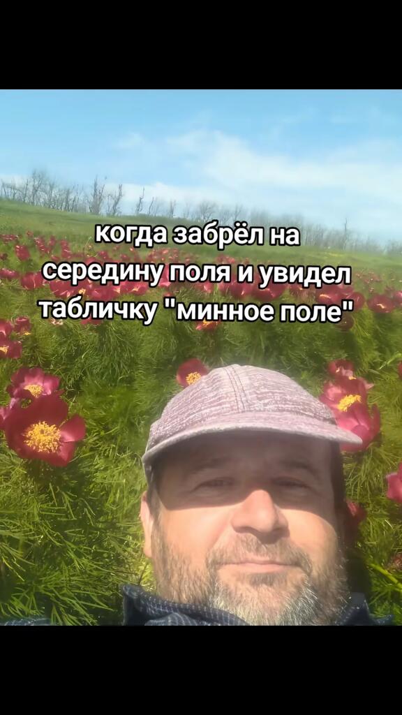 пинное моле