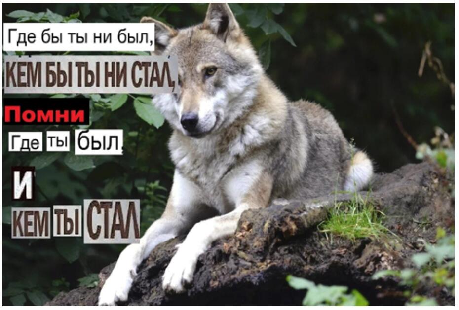 Последние цитаты по пятницам в этом году!
Часть 3