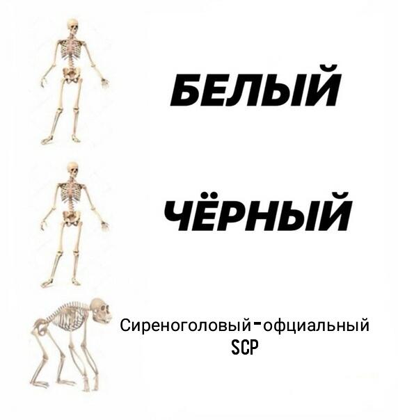 Мем от SCPs покинул вас