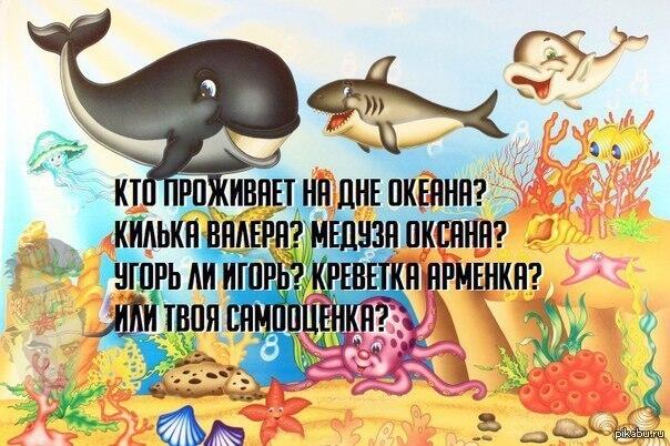 Мем без подписи