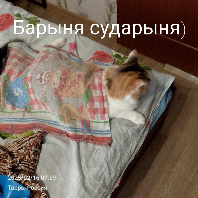 Нет, я серьёзно