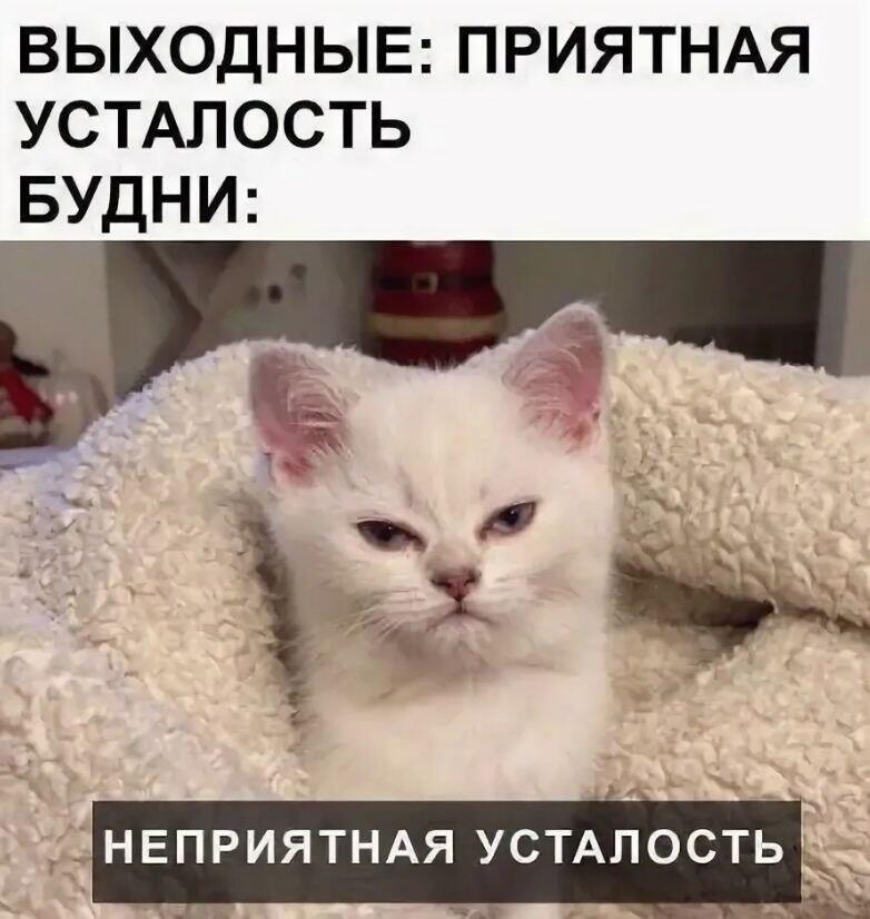 И так всегда