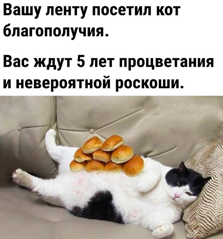 ^~^