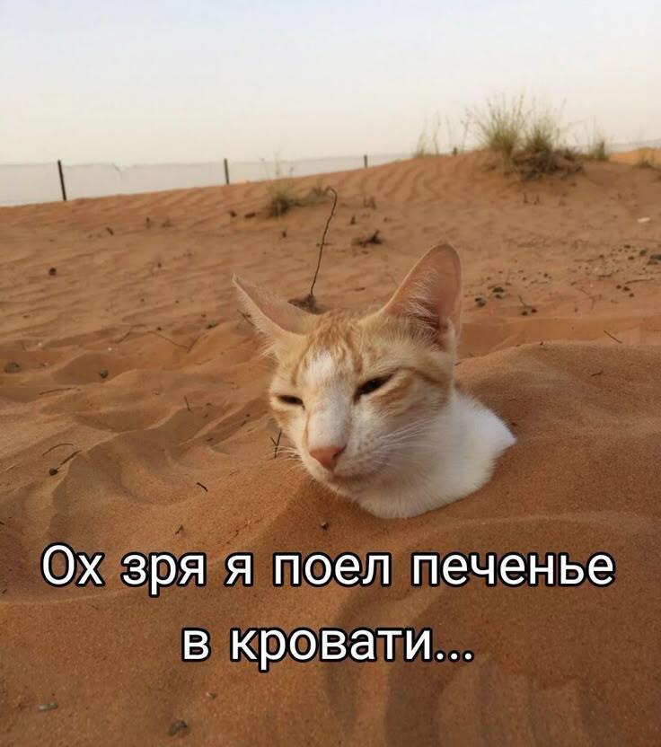 Когда поел чипсы или печенье в кровати